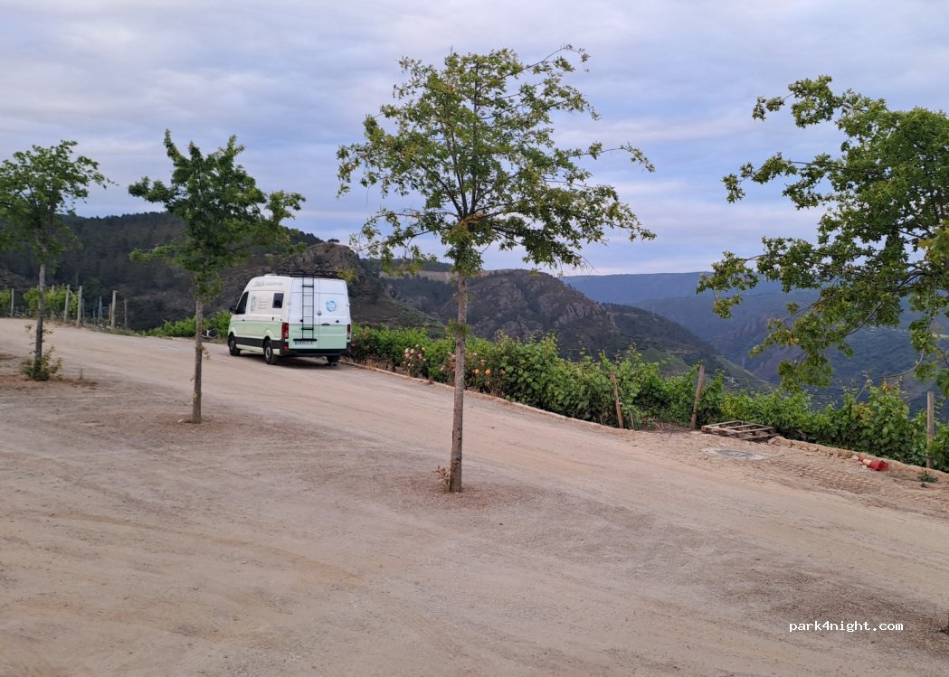 Bodegas Regina Viarum — foto 2