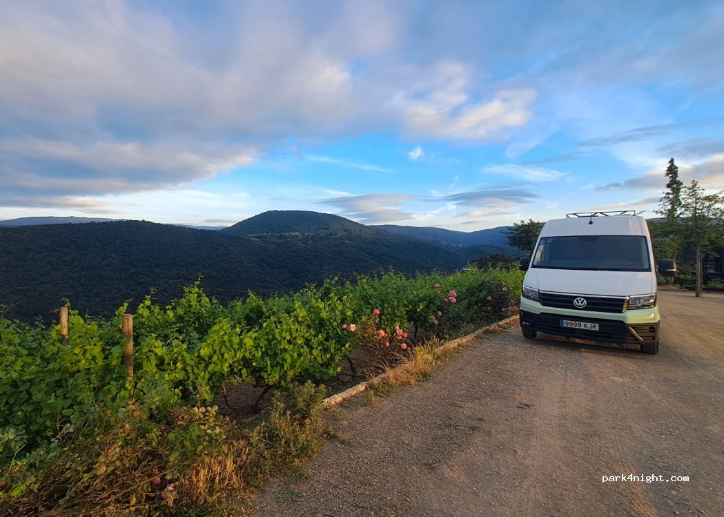 Bodegas Regina Viarum — foto 3