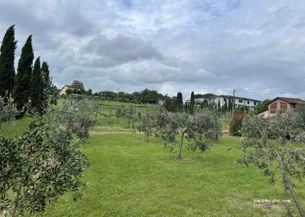 Agriturismo Al Podere di Rosa — foto 5