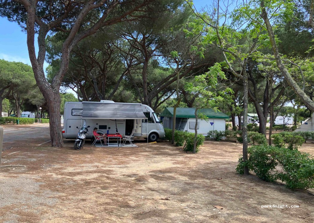 Camping Mais Olhão — foto 2