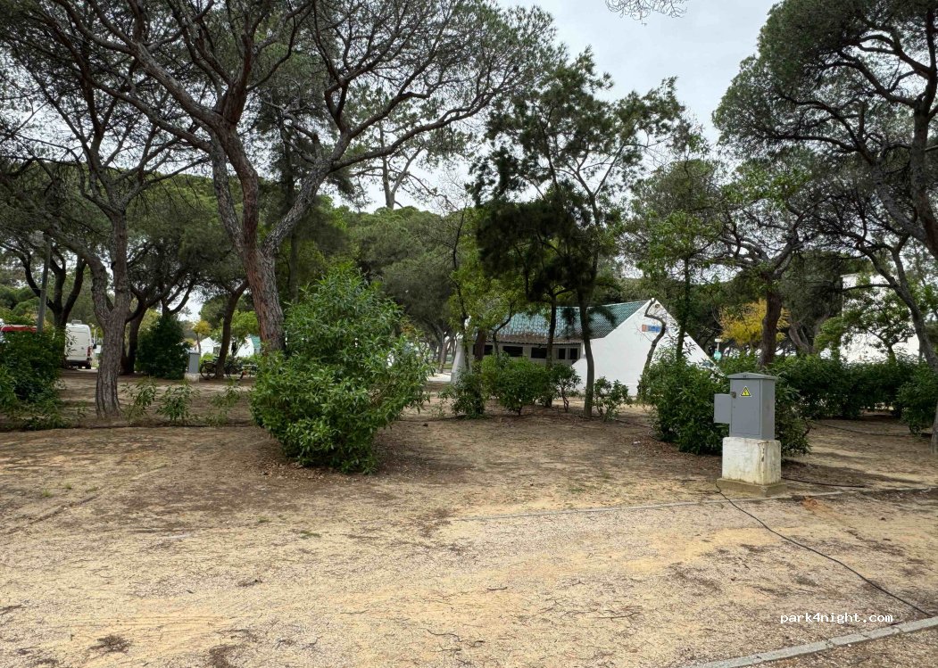 Camping Mais Olhão — foto 4