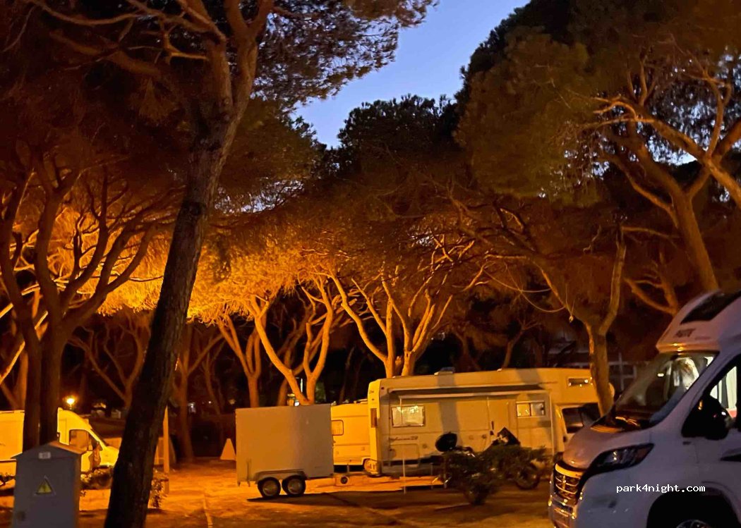 Camping Mais Olhão — foto 5