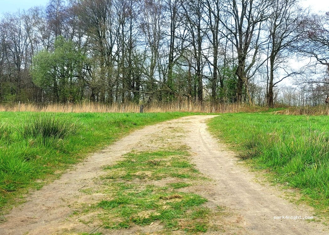 (9321) Peize - Noorddijk — foto 4