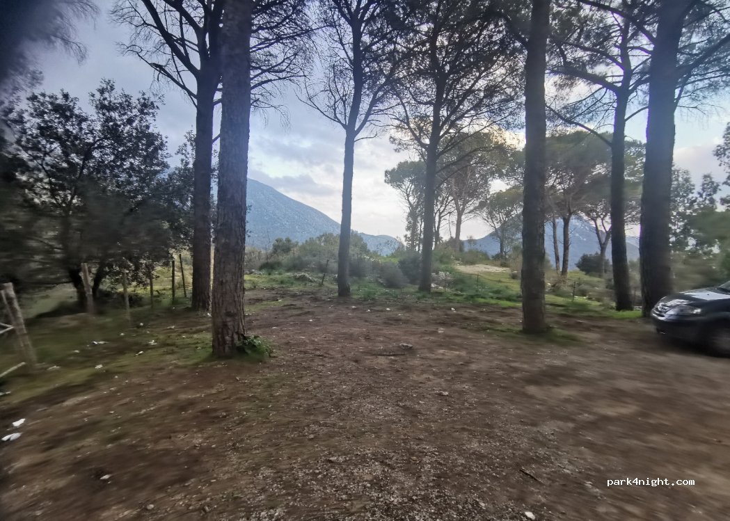 (90046) San Martino delle Scale - Via Pineta Antica — foto