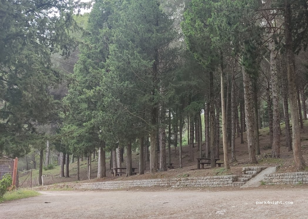 (90046) San Martino delle Scale - Via Pineta Antica — foto 2
