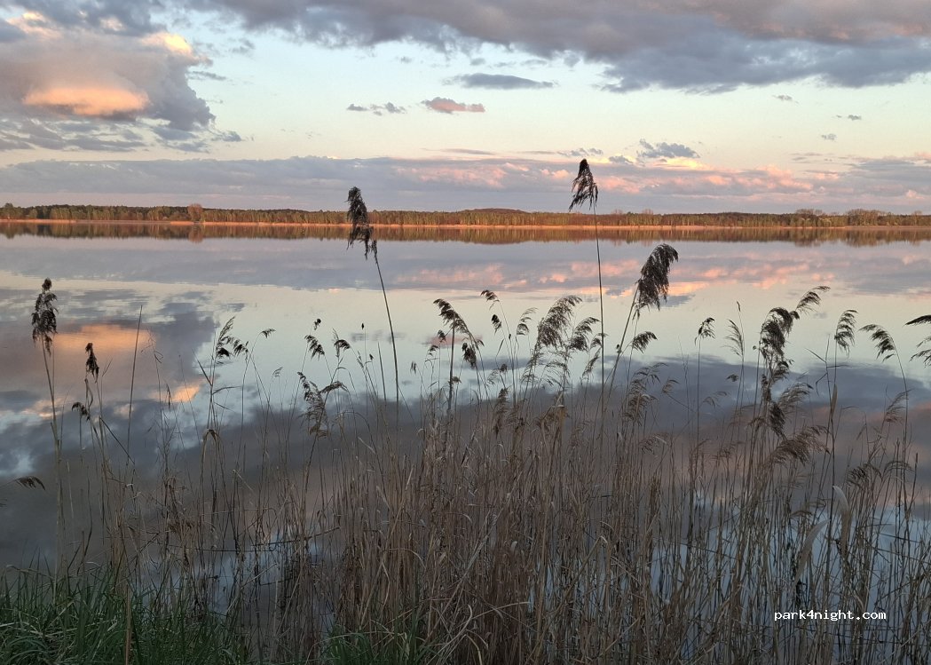(41-403) Chełm Śląski - 14 Podłuże — foto 5