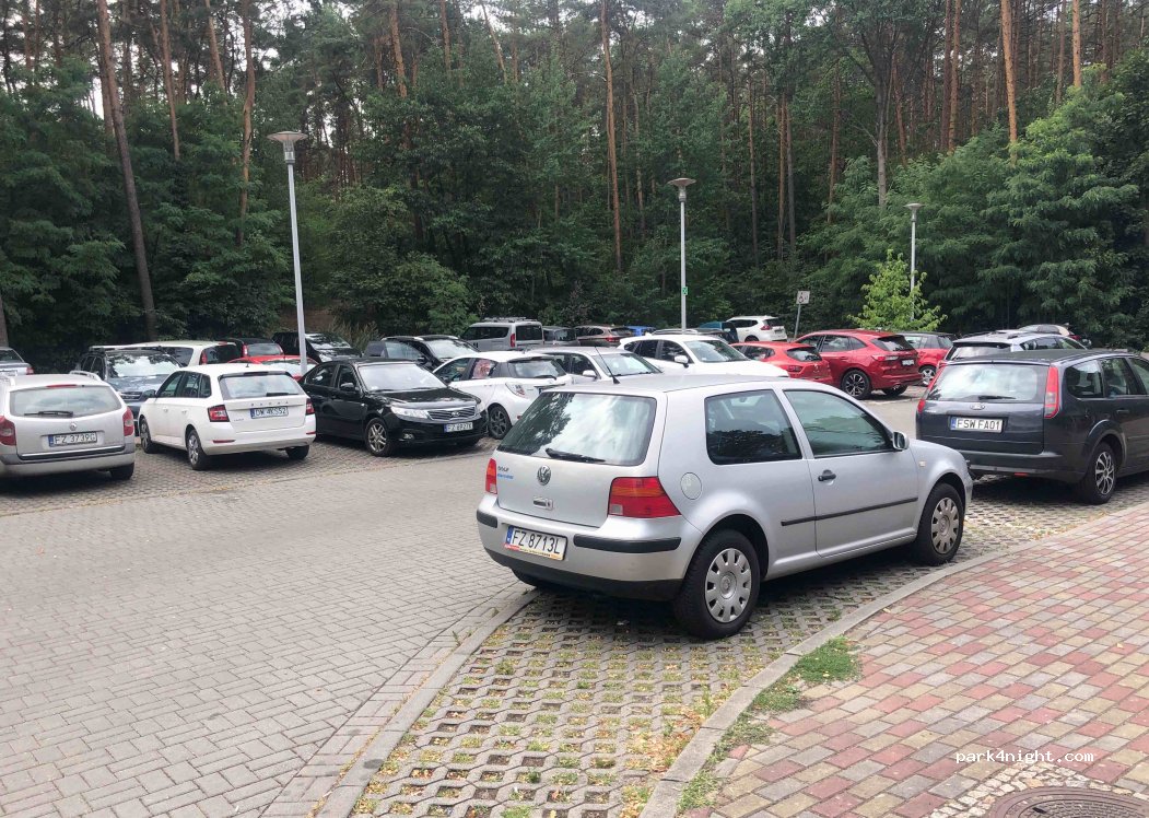 (65-392) Zielona Góra - 50A Botaniczna — foto 2