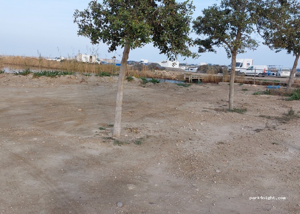 (43580) Deltebre - Unnamed Road — foto