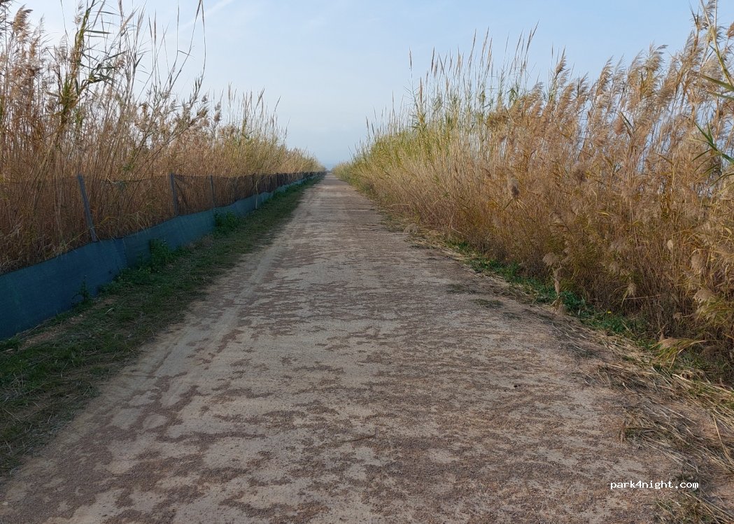 (43580) Deltebre - Unnamed Road — foto 3