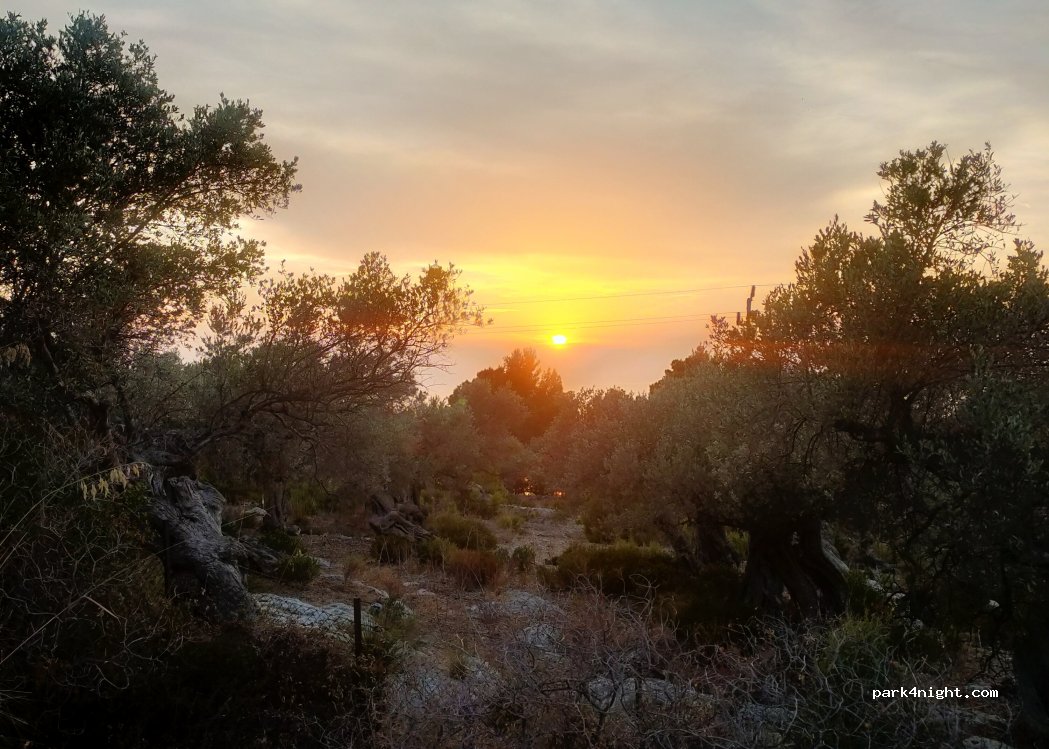 (07170) Nova Valldemossa - Ma-10 — foto 4