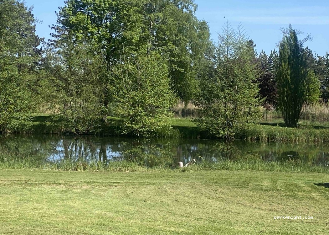 Camping Cœur d’Alsace — foto 4