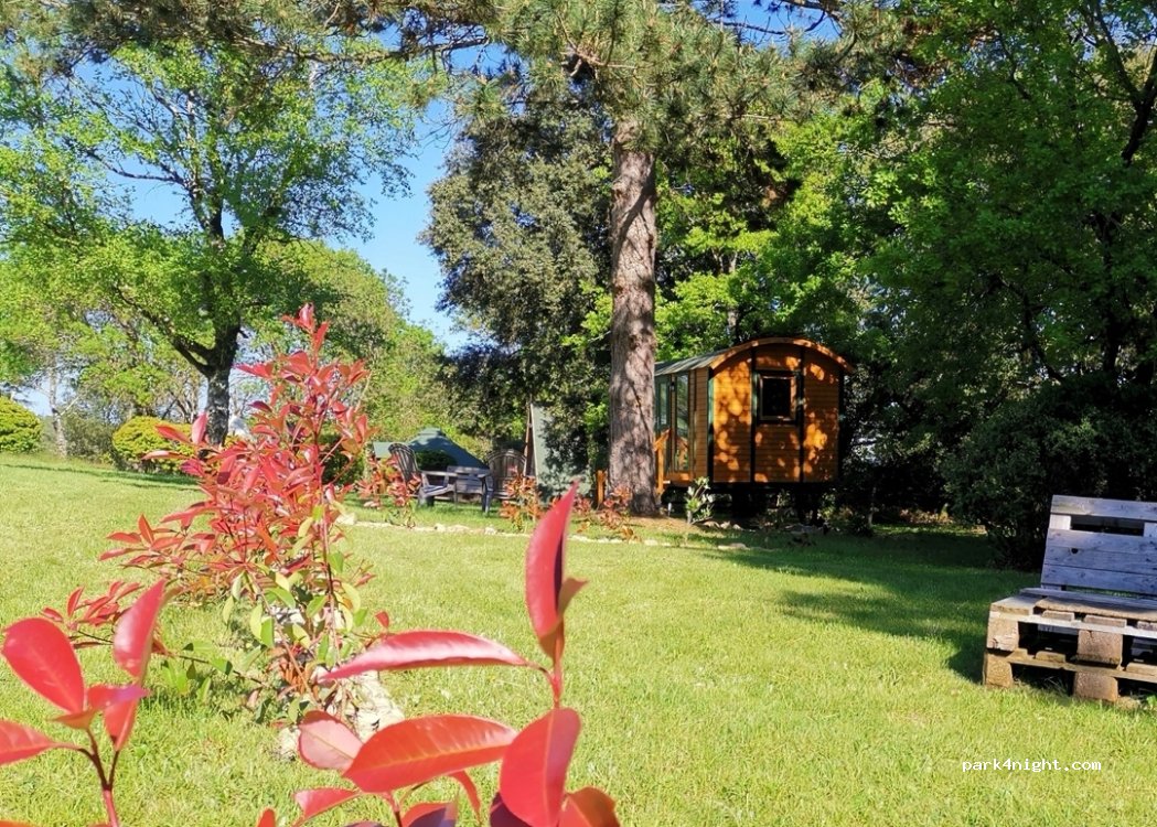 (11390) Brousses-et-Villaret - — foto 3