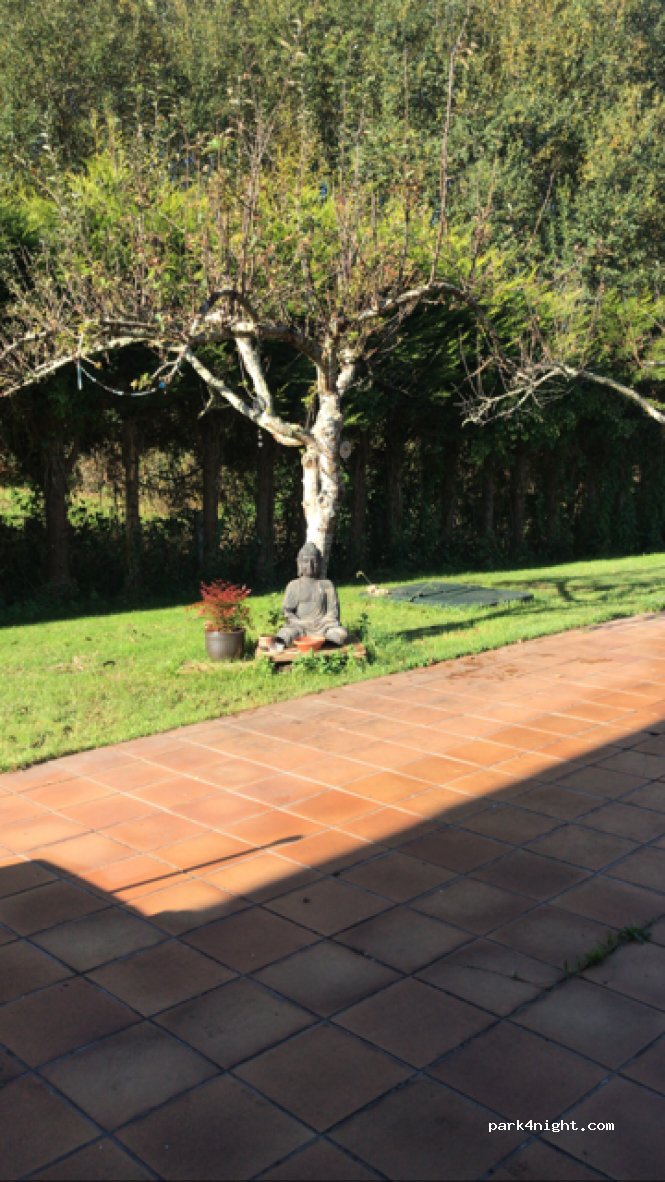 (15886) Teo - A Xesta, 43 Calo — foto