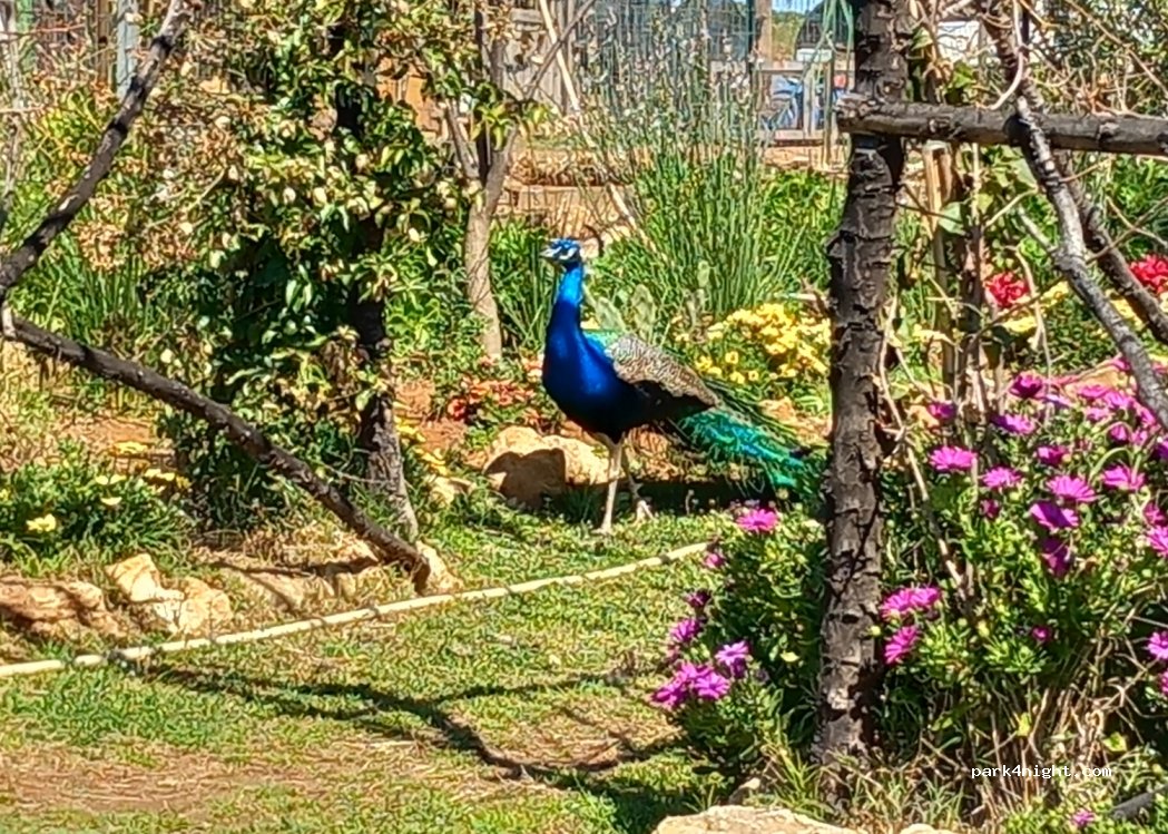 Sicily Ranch — foto 2