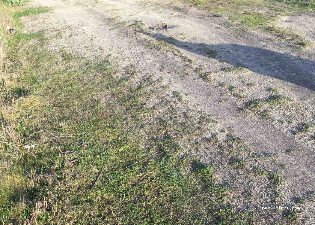 (3400) Santa Ovaia - Unnamed Road — foto 2
