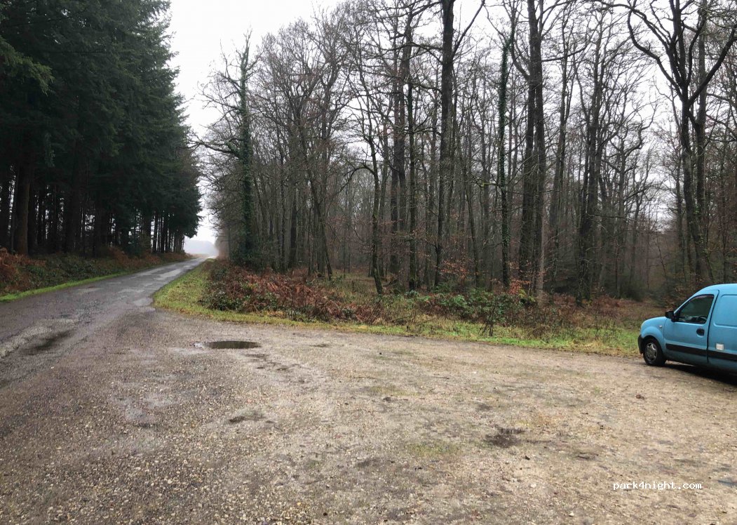 (61190) Tourouvre au Perche - Rte Forestiere de Randonnai — foto