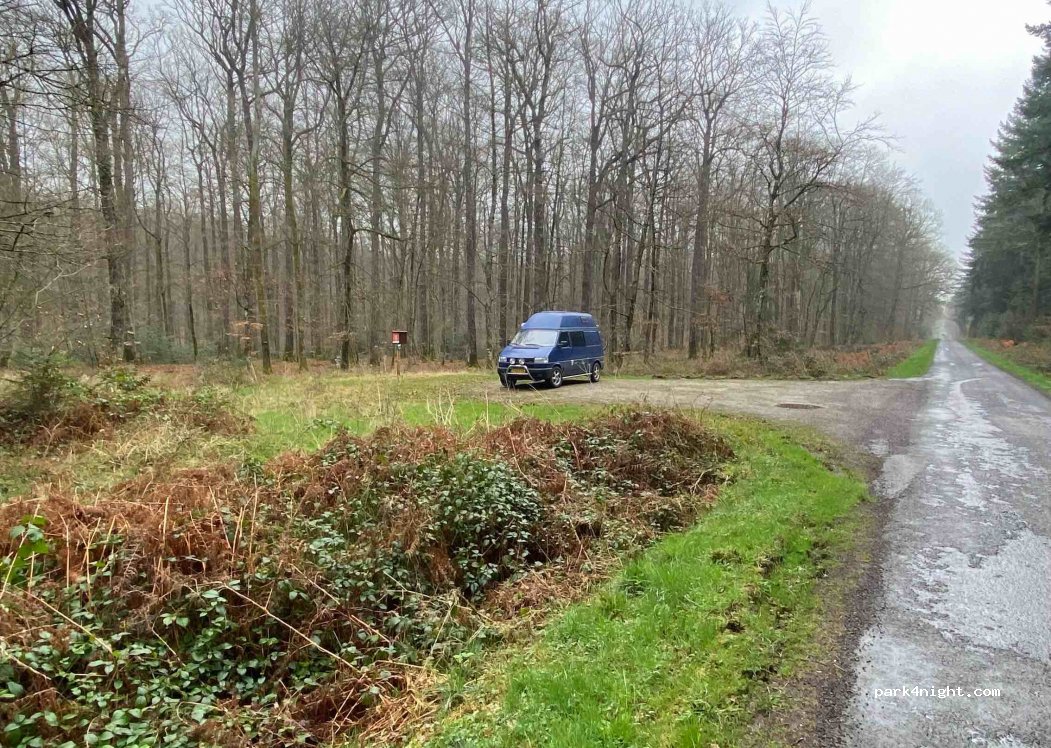 (61190) Tourouvre au Perche - Rte Forestiere de Randonnai — foto 2