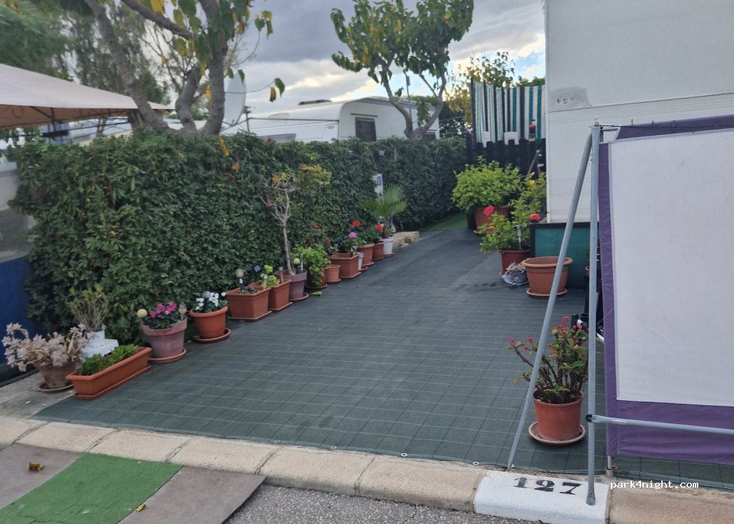 Alannia Guardamar — foto 3