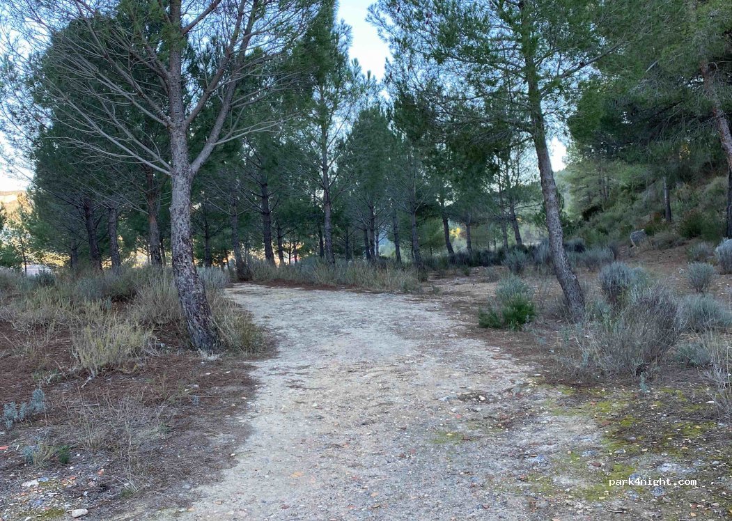 (46625) Cofrentes - — foto 3
