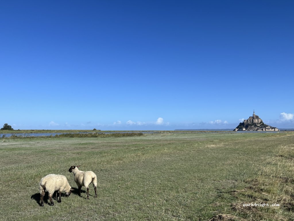 Restaurant La Ferme Saint Michel — foto 5