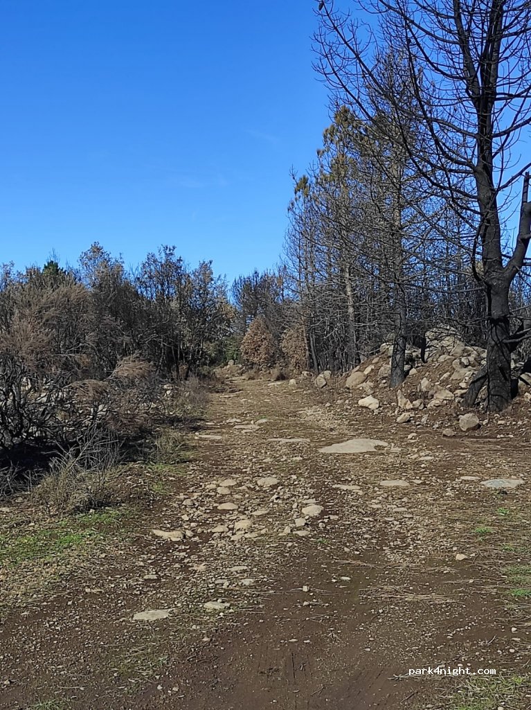 (09075) Santu Lussurgiu - — foto 2