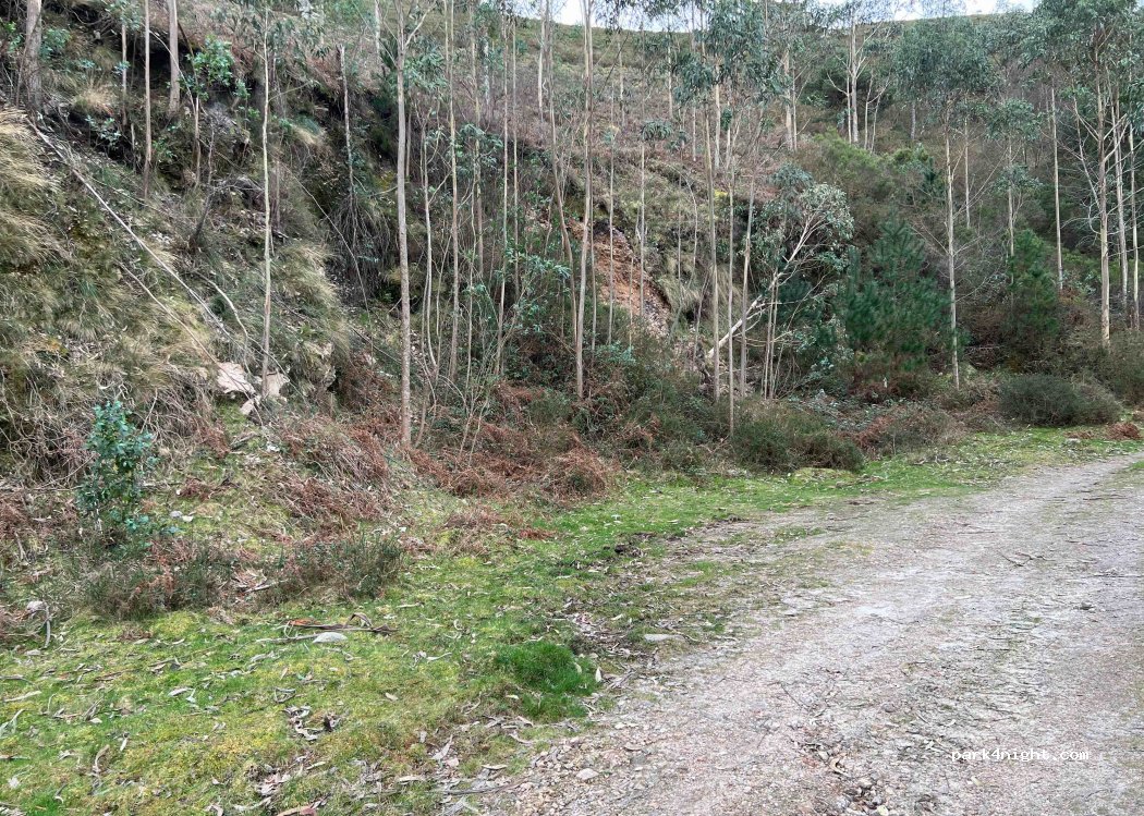 (33344) Caravia - — foto