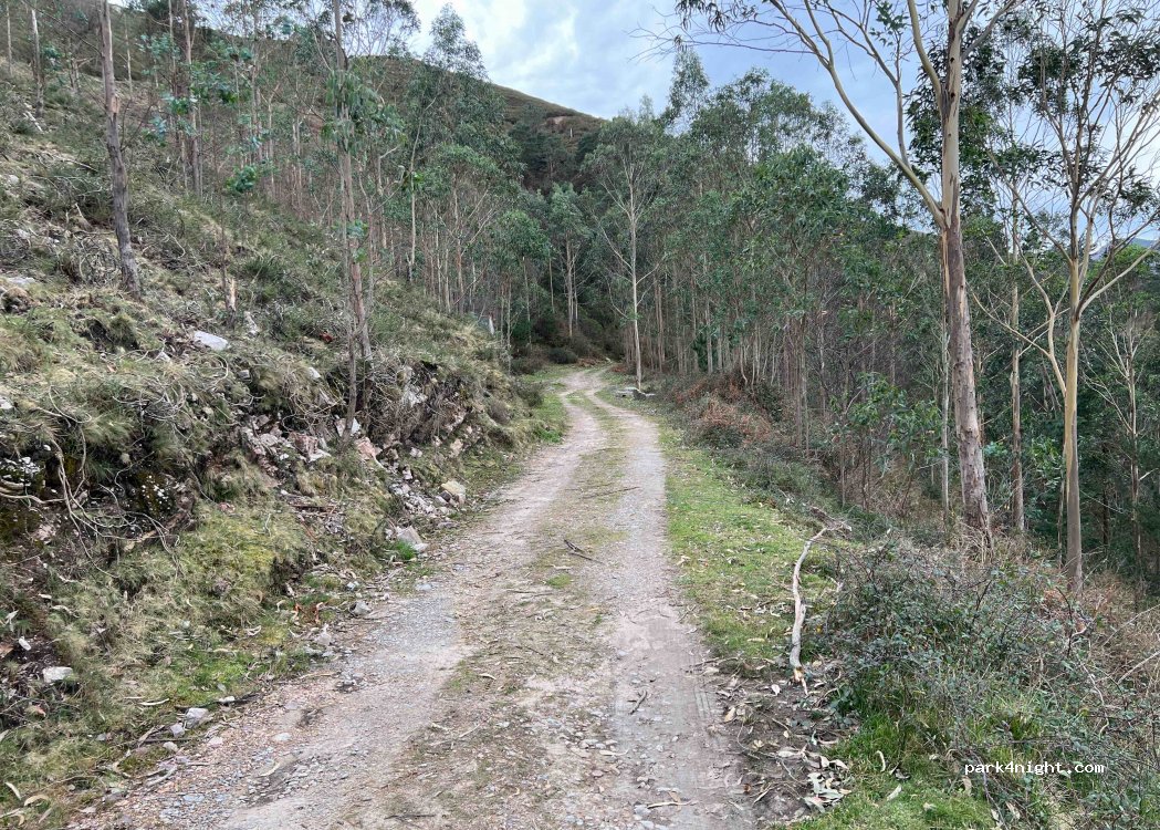 (33344) Caravia - — foto 2