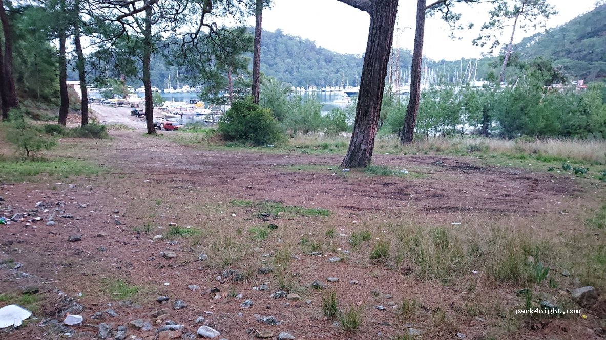 (48770) Muğla - — foto