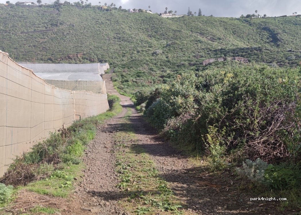 (38379) La Matanza de Acentejo - Unnamed Road — foto 2