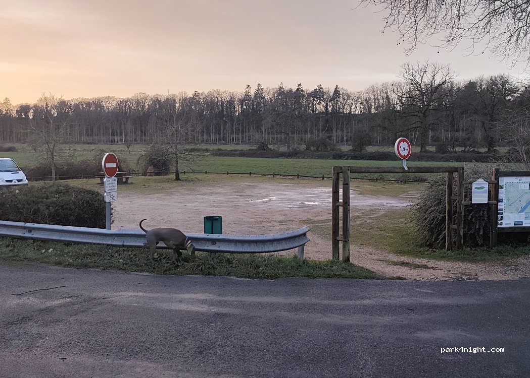 (41000) Saint-Denis-sur-Loire - — foto 3