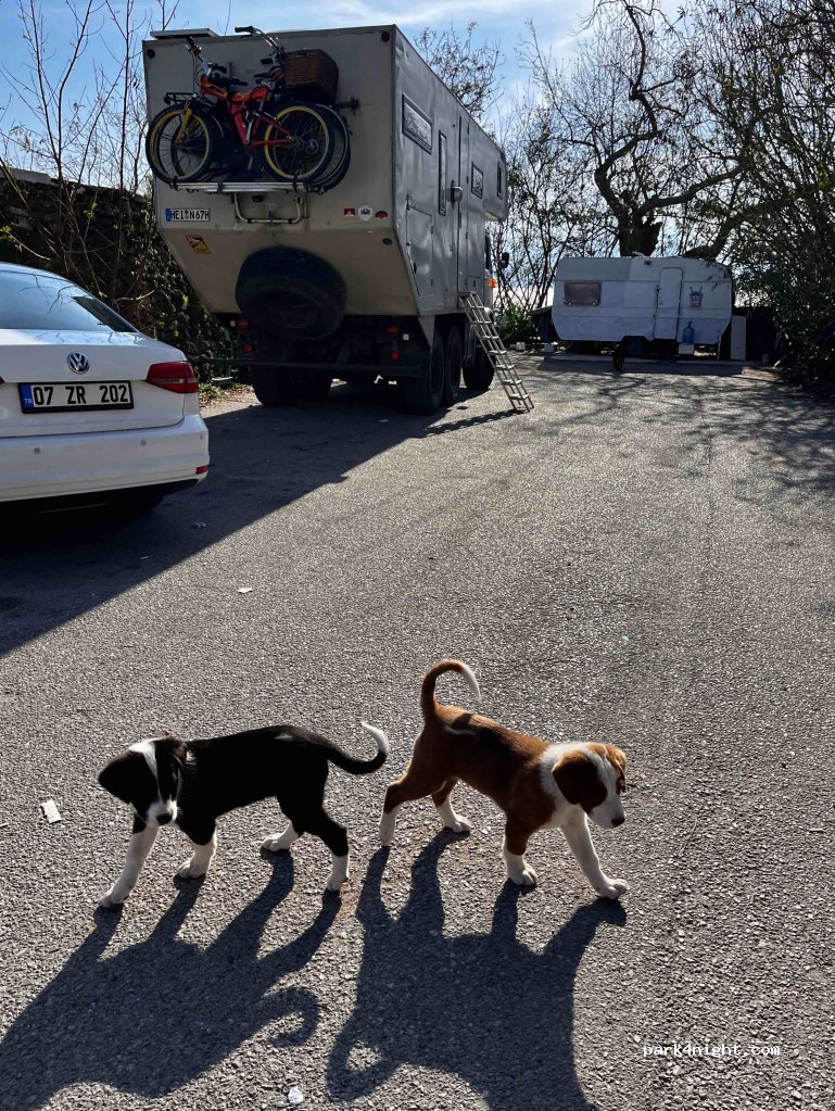 (07100) Tevfik Işık - 10/1 Tevfik Işık Caddesi — foto 4