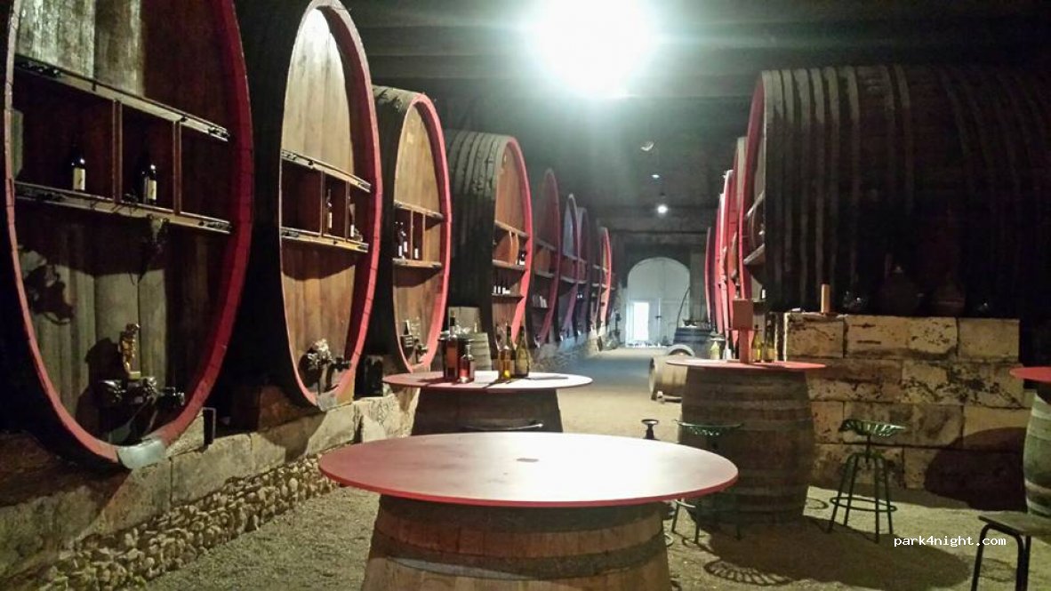 Château Coujan — foto 2