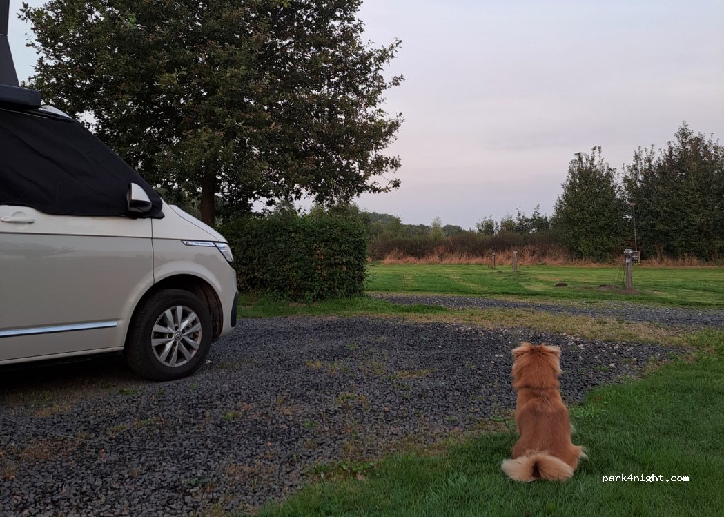 Camperplaats wijngaard Baan — foto 4