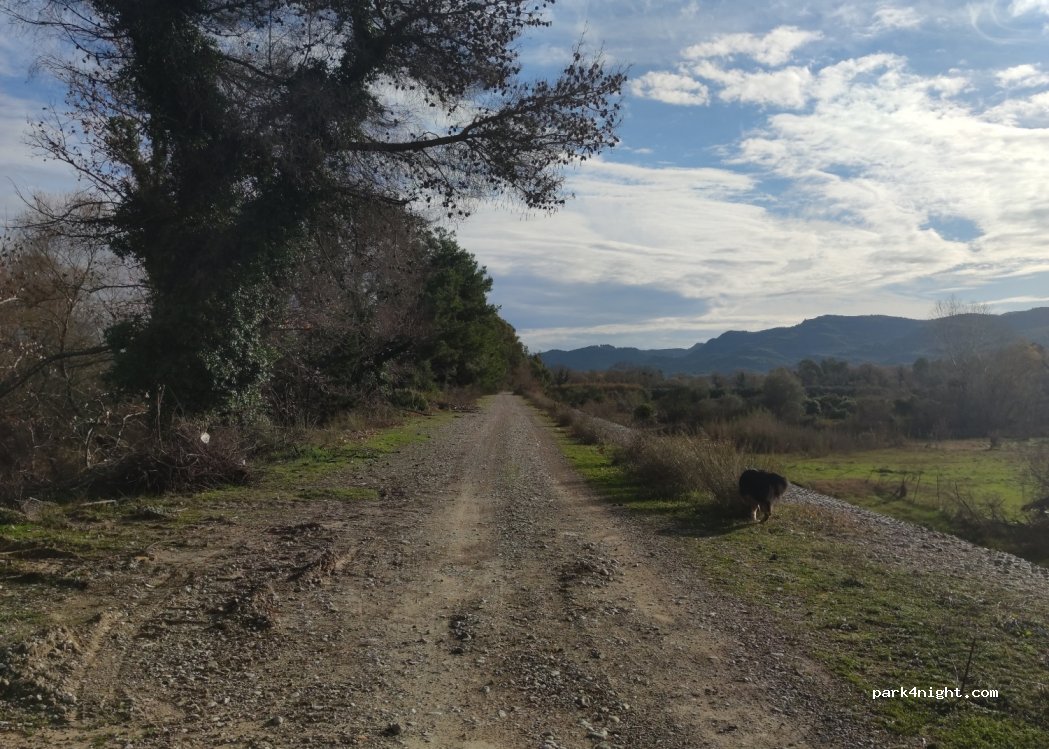 (270 65) Archea Olimpia - Unnamed Road — foto 2