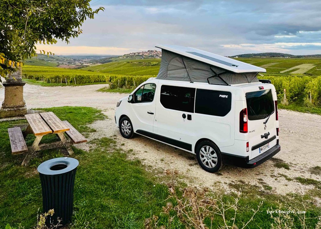 (18300) Sancerre - 1196 Les Gaudes — foto 3