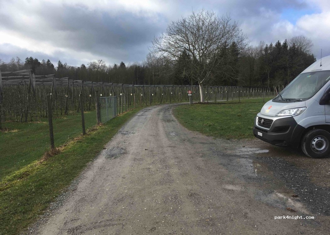 (8593) Kesswil - 60 Kesswilerstrasse — foto 3