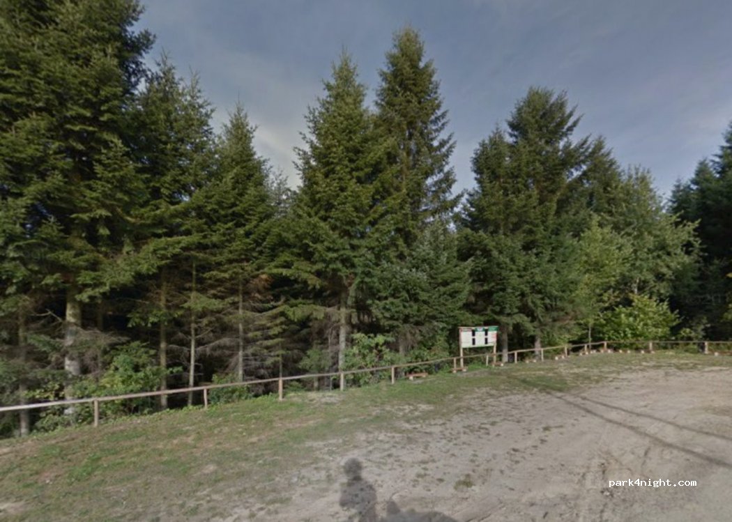(38-200) Gorajowice - Unnamed Road — foto 2
