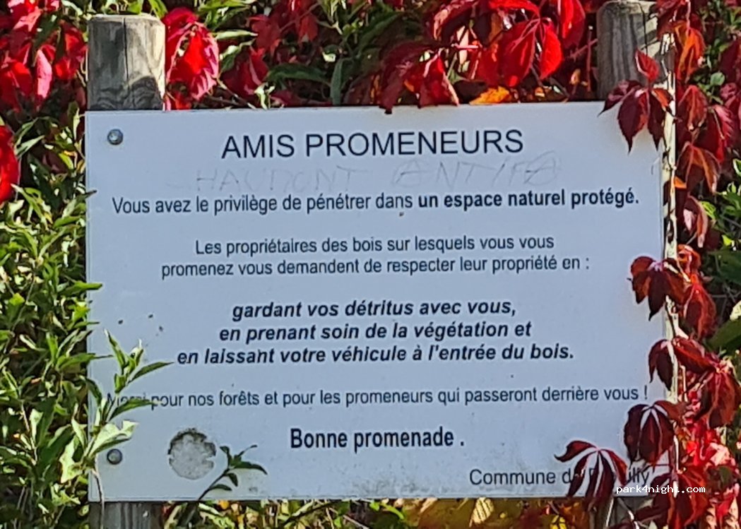 (51140) Prouilly - — foto 3