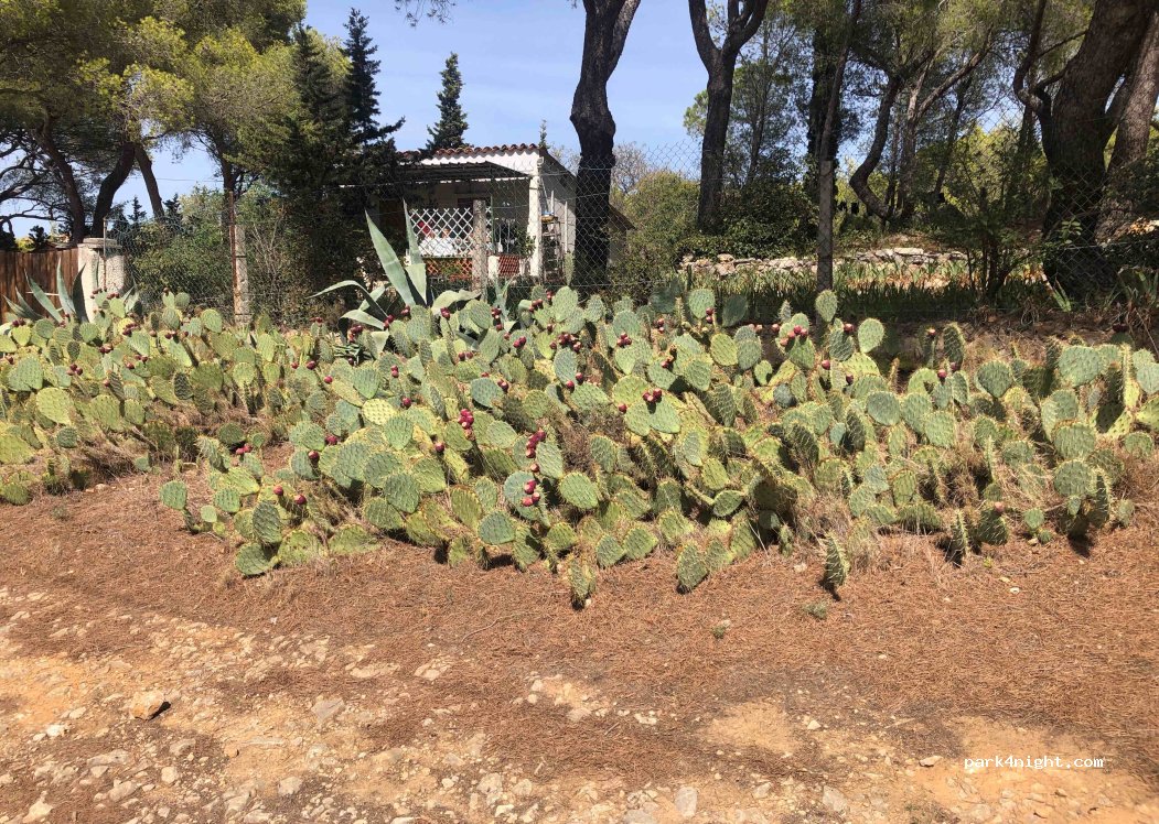 (13820) Ensuès-la-Redonne - Unnamed Road — foto 2