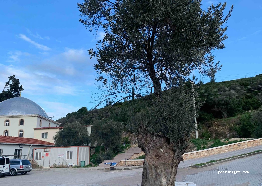 (35434) Urla/İzmir - 13 Özbek Caddesi — foto 2