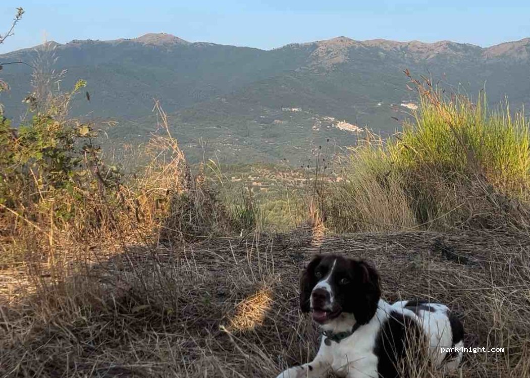 (18100) Vasia - Unnamed Road — foto 3