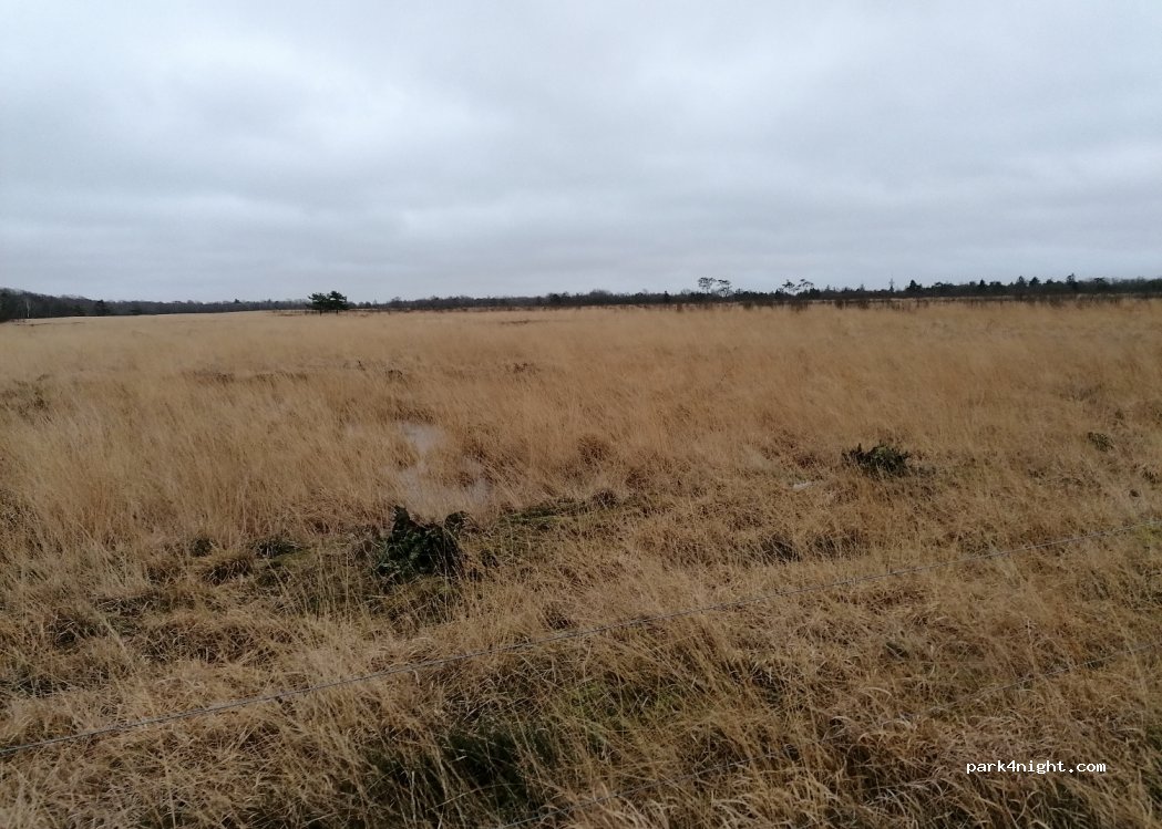 (6580) Vamdrup - Unnamed Road — foto 2