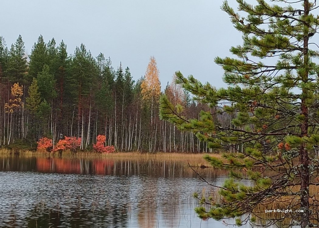 (957 94) Siekasjarvi - Unnamed Road — foto 3