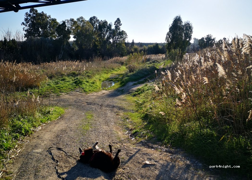 (01016) Sant'Agostino - Unnamed Road — foto 3