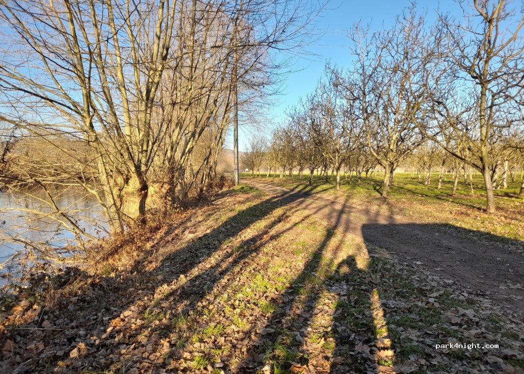 (24120) Terrasson-Lavilledieu - — foto 2