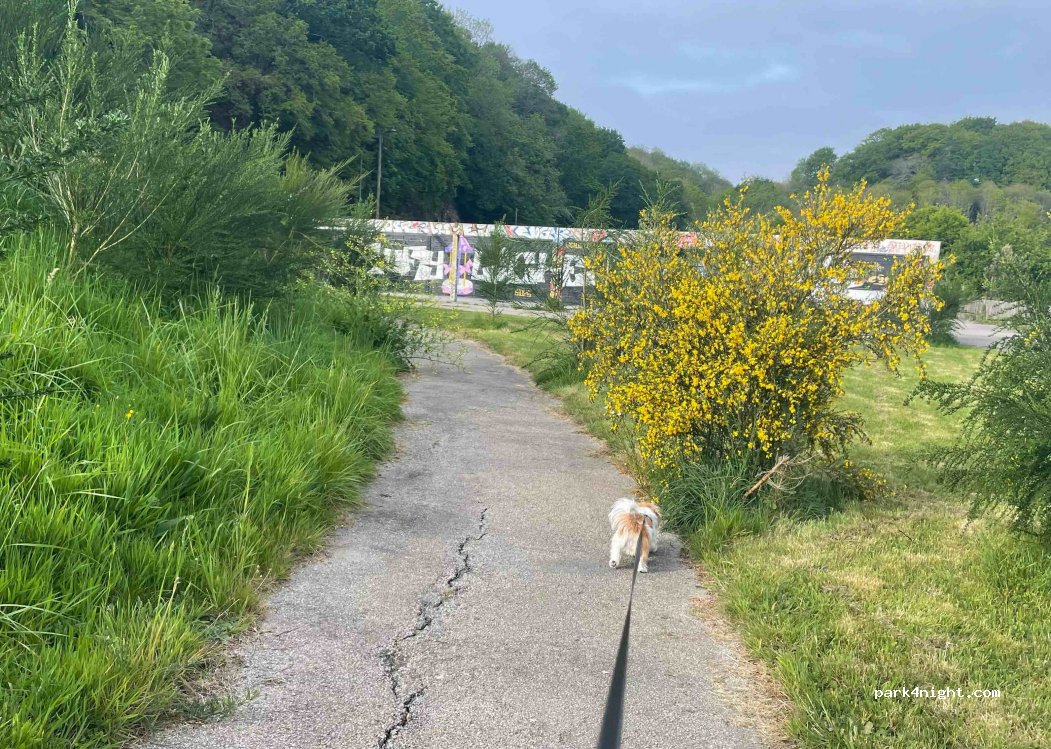 (29200) Brest - Parking Rpe des Capucins — foto 2