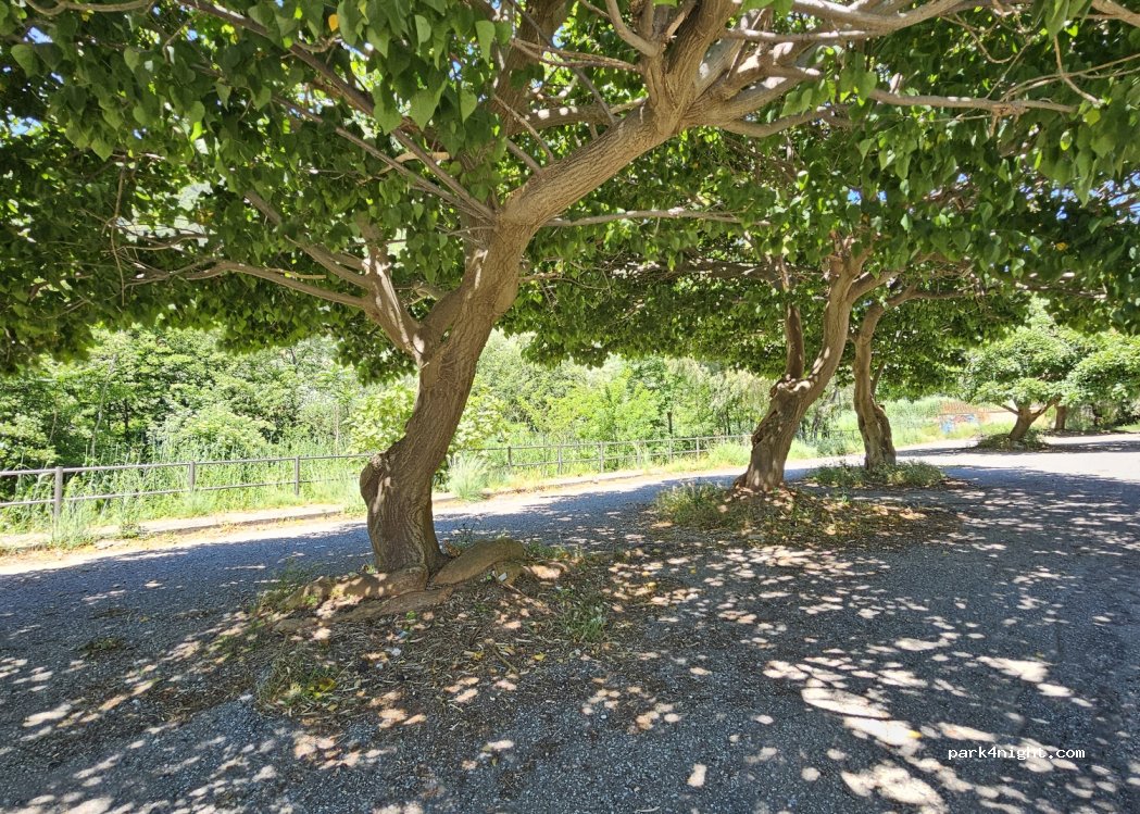(88046) Caronte - 27 Via dei Borboni di Napoli — foto 4