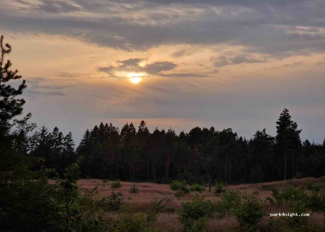 (7190) Billund - Koldingvej — foto 2