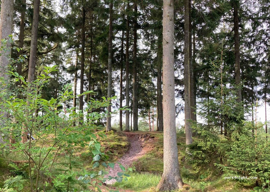 (7190) Billund - Koldingvej — foto 4