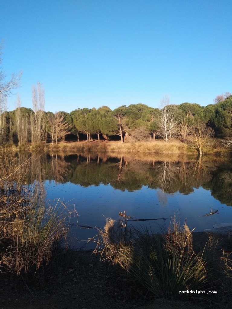 (28863) Cobeña - — foto 2